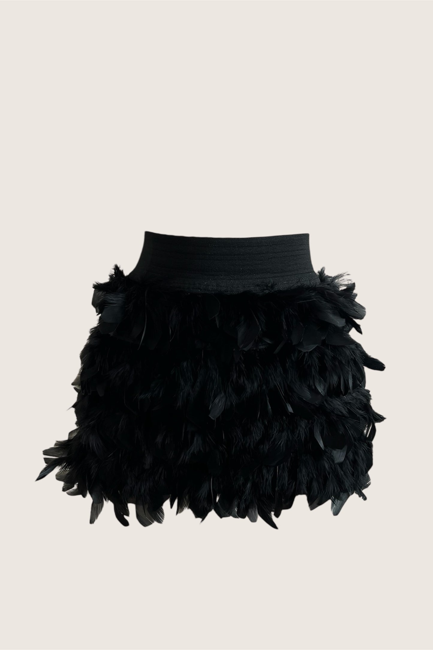 Black Feather Mini Skirt