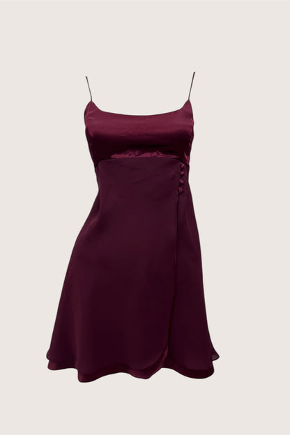 Vintage Wine Red Mini Dress
